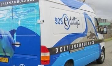 266_original 266_original